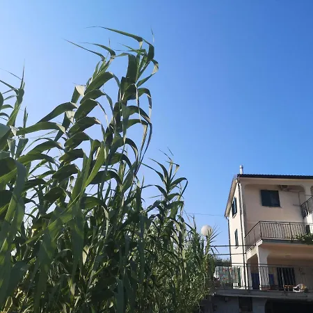 Saleto Apartma Jagodje Exterior photo