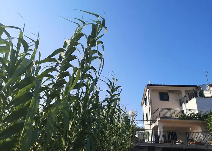 Saleto Apartma