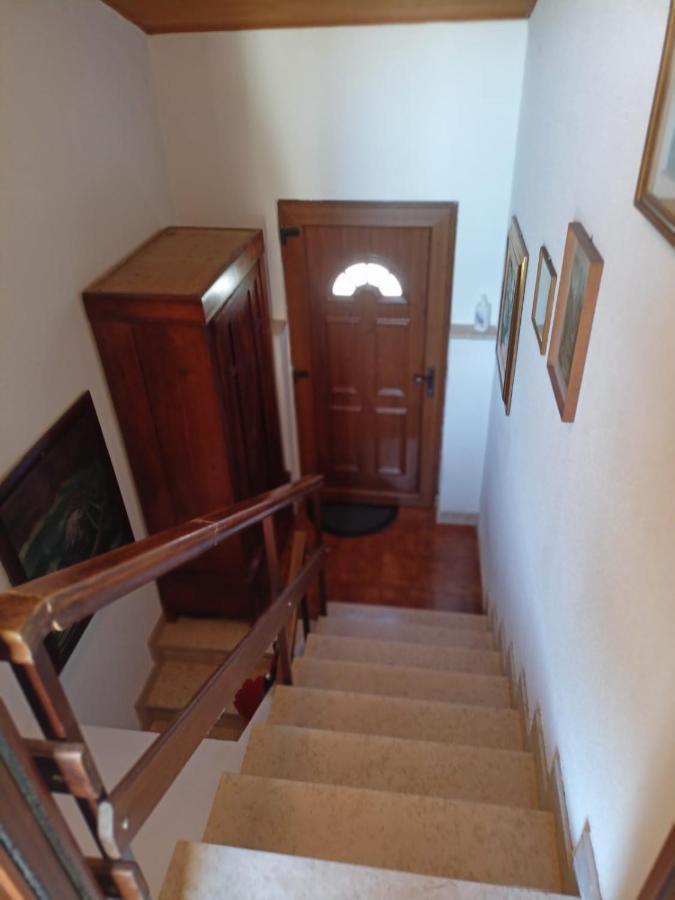 Saleto Apartma Jagodje