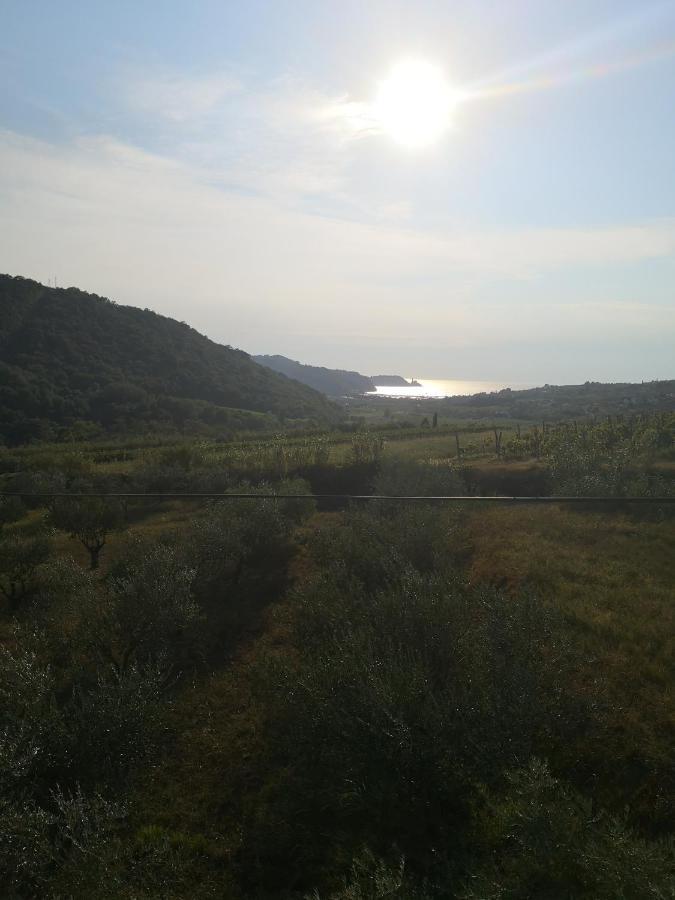 Saleto Apartma * Jagodje