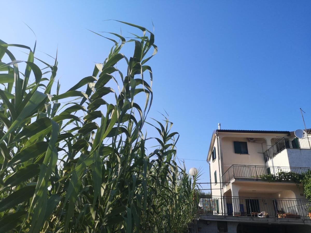 Saleto Apartma * Jagodje