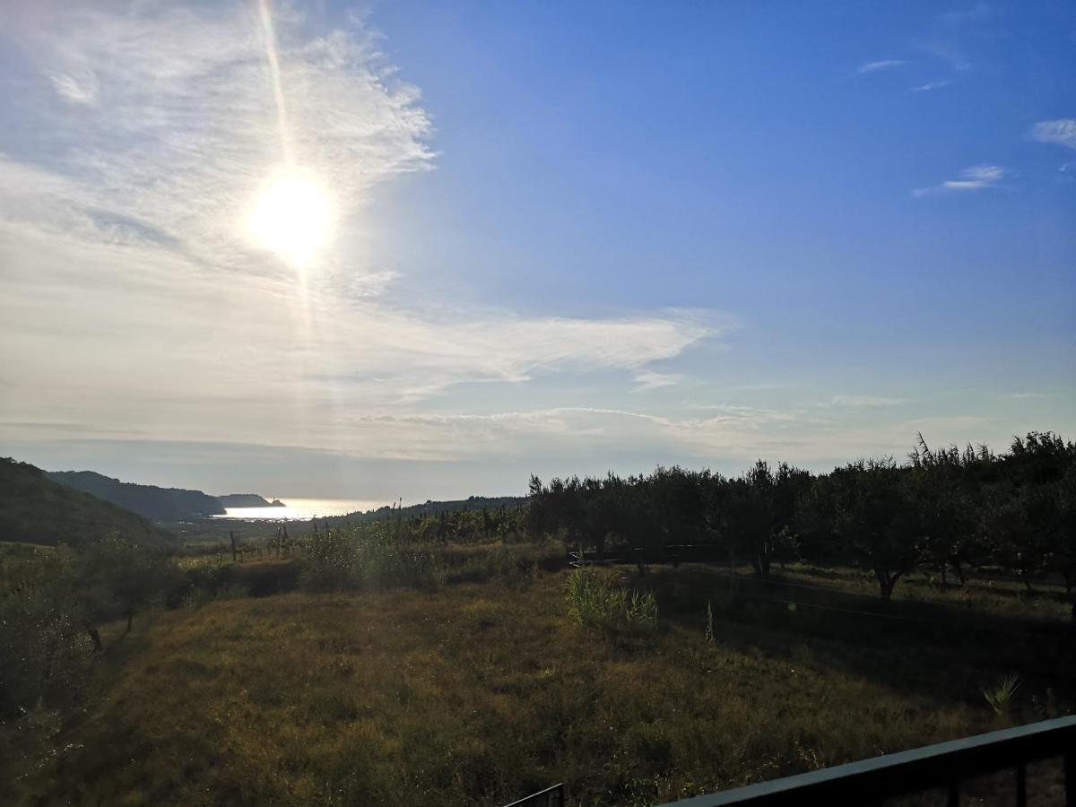 Saleto Apartma *