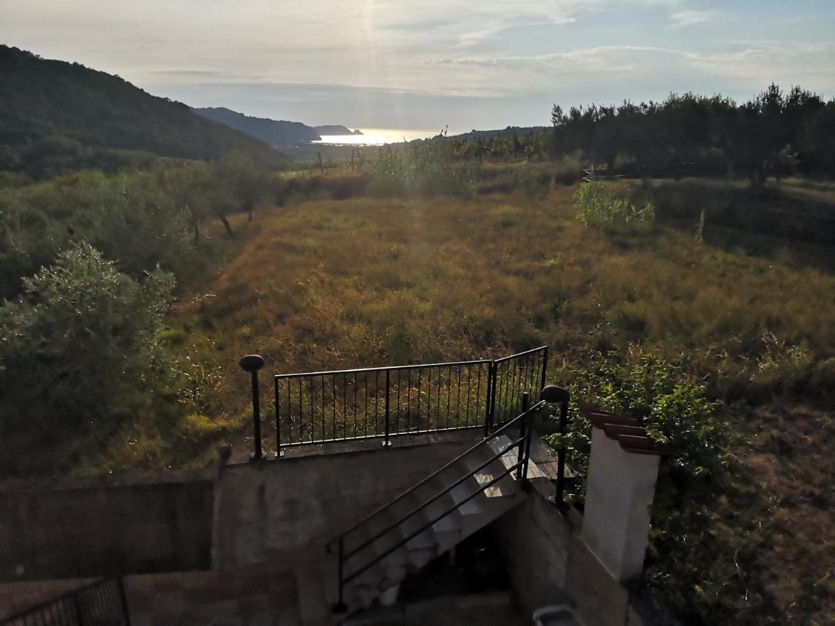 Saleto Apartma Apartment *