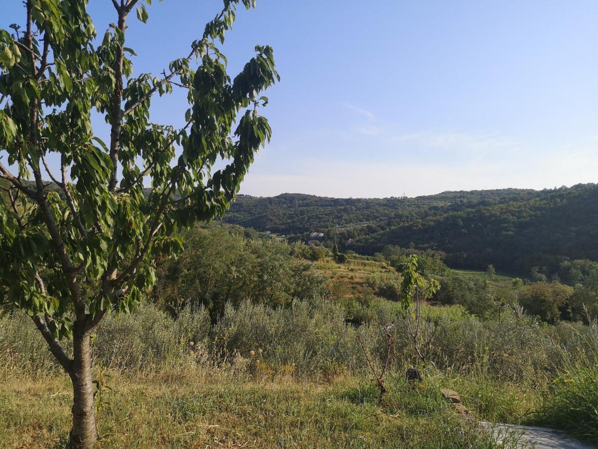 Saleto Apartma Apartment